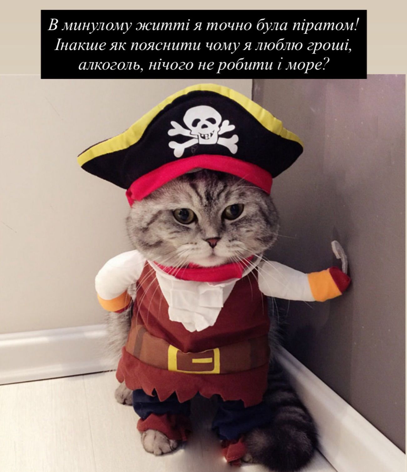 Смешные мемы с котиками, которые слишком точно описывают нашу жизнь - 813343 Смешные мемы с котиками, которые слишком точно описывают нашу жизнь - фото 813343