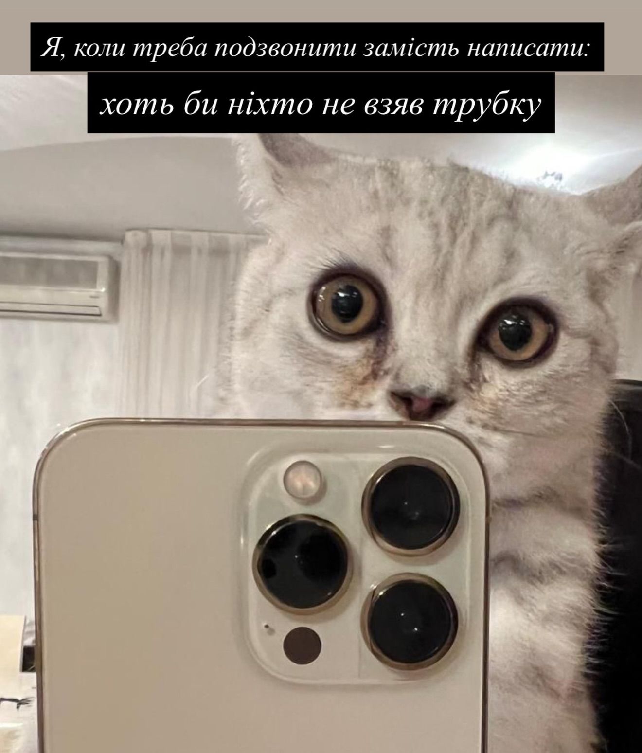 Смешные мемы с котиками, которые слишком точно описывают нашу жизнь - 813344 Смешные мемы с котиками, которые слишком точно описывают нашу жизнь - фото 813344