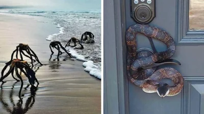 Эти фото доказывают, что природа может быть страшнее фильмов ужасов