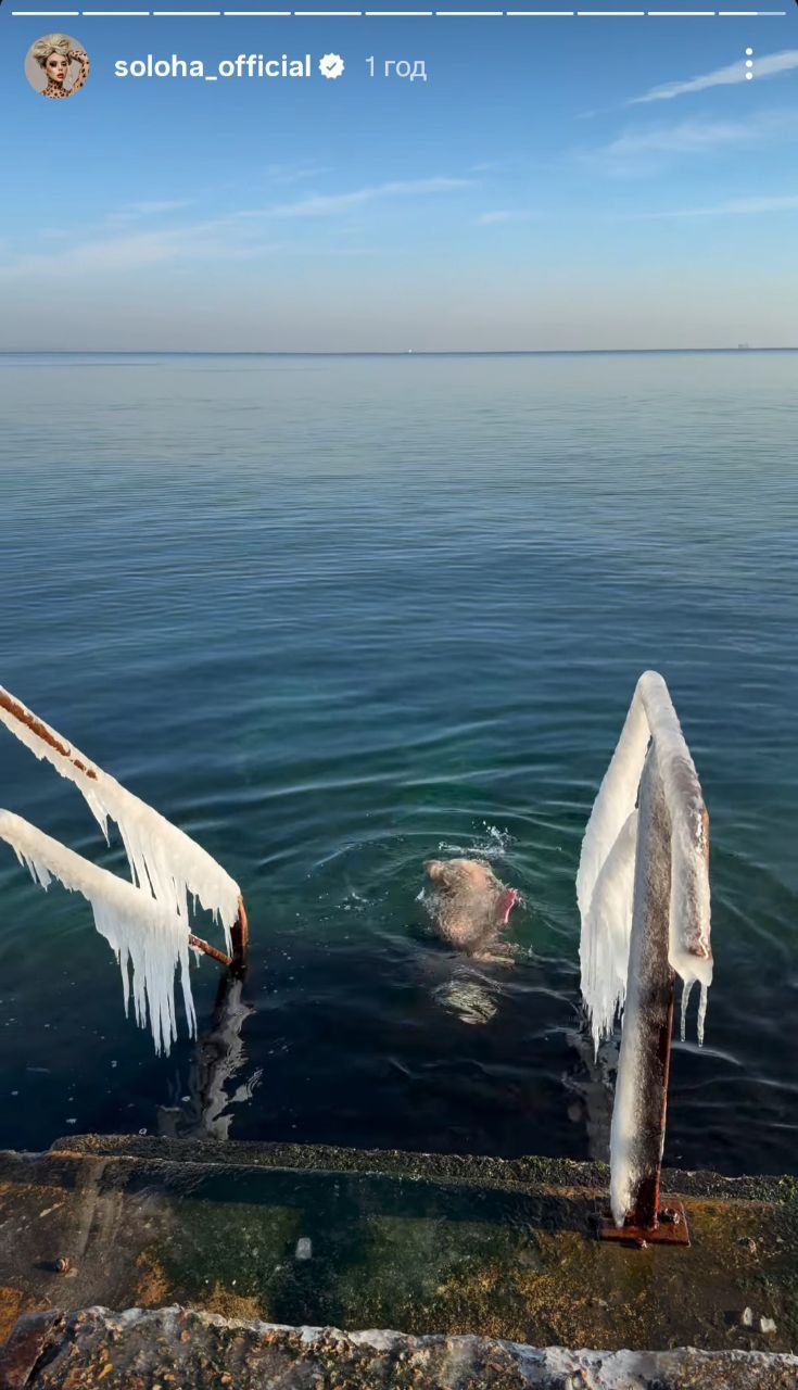 Співачка СолоХа занурилася у зимове море - фото 814898