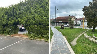 Эти забавные фото доказывают, что люди всегда идут более коротким путем