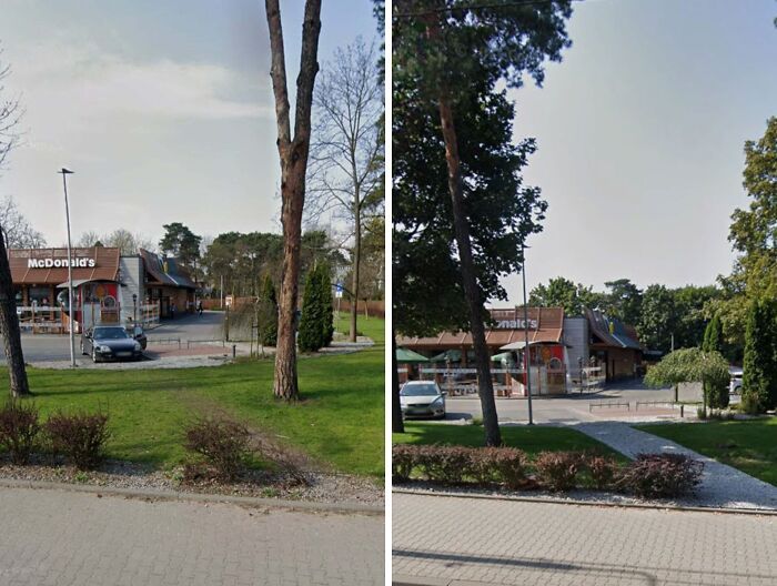 Ці кумедні фото доводять, що люди завжди йдуть коротшим шляхом - 814948 Ці кумедні фото доводять, що люди завжди йдуть коротшим шляхом - фото 814948