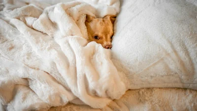 Мемы о графиках отключения: хоть без света и тепла, но украинцы продолжают шутить