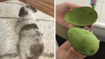 17 настільки ідеальних кадрів, від яких просто неможливо відірвати погляд