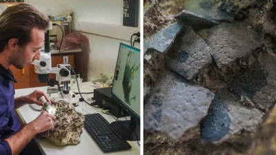 Гнездо с яйцами динозавров возрастом 150 миллионов лет - находка, которая шокировала ученых