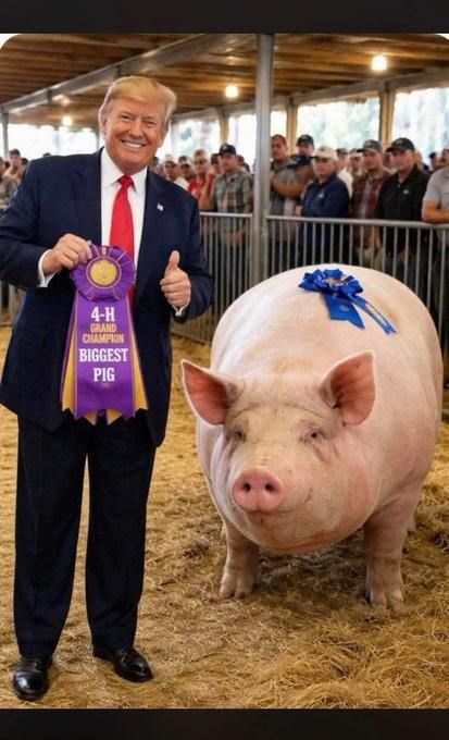 Мария Мачадо передала Трампу свою Нобелевскую медаль мира - сеть не сдержалась от шуток - фото 817984