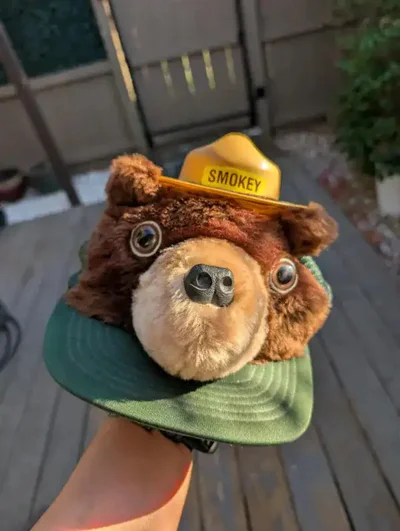 Секондхенд-знахідки, які настільки дивні, що їх хочеться розглядати годинами - фото 818046