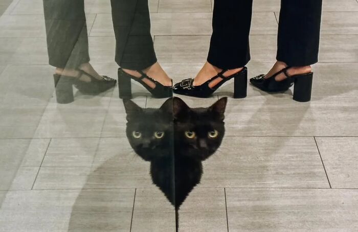 Когда секунда решает все: лучшие уличные фотографии, которые невозможно сделать намеренно - 819182 Когда секунда решает все: лучшие уличные фотографии, которые невозможно сделать намеренно - фото 819182