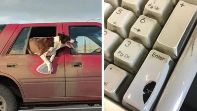 Час залишив свій слід на кожній з цих речей - і це неймовірно