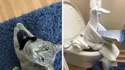 18 світлин без жодного сенсу, але вони чомусь дуже смішні