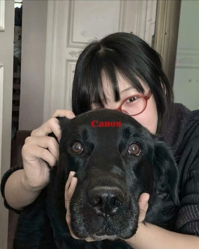 18 фотографий без всякого смысла, но они почему-то очень смешные - 820060 18 фотографий без всякого смысла, но они почему-то очень смешные - фото 820060