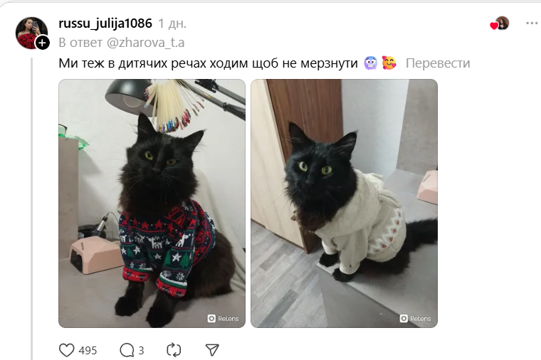 Украинцы делятся, как утепляют любимцев от холода - и это очень трогает - фото 820316