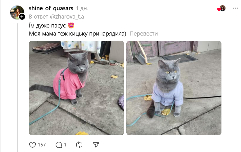 Украинцы делятся, как утепляют любимцев от холода - и это очень трогает - фото 820318