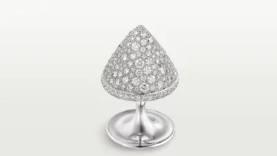 Cartier выпустил очень нестандартное украшение: такого еще не было