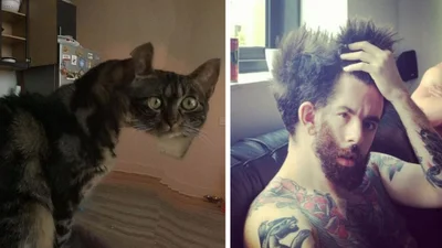 Випадкові шедеври панорамної фотографії, які викликають істеричний сміх