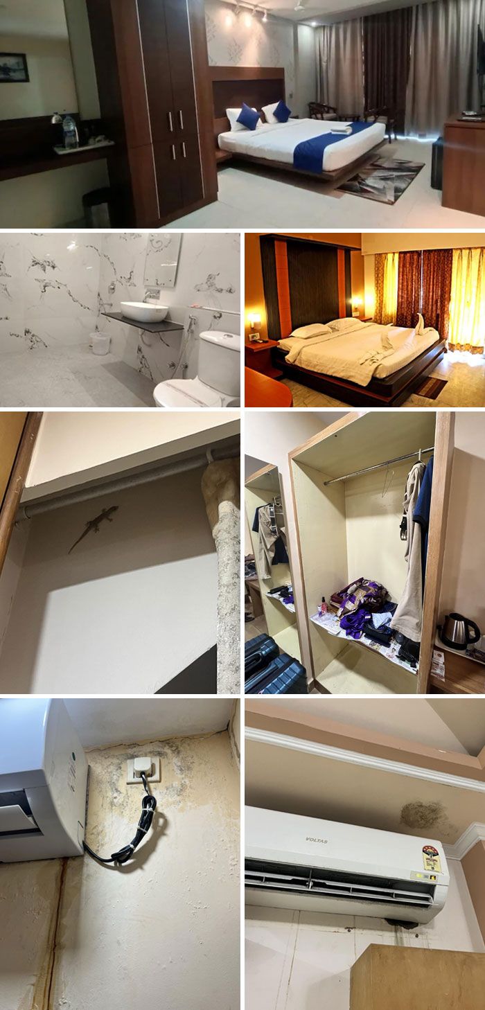 Ожидания против реальности: шокирующие провалы аренды через Airbnb - фото 821961