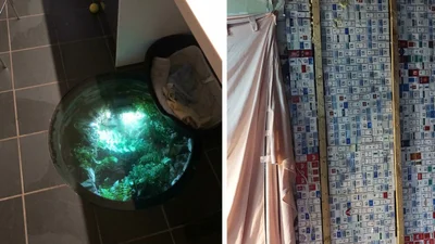 Дивні, кумедні та цікаві речі, випадково знайдені під час ремонту будинку