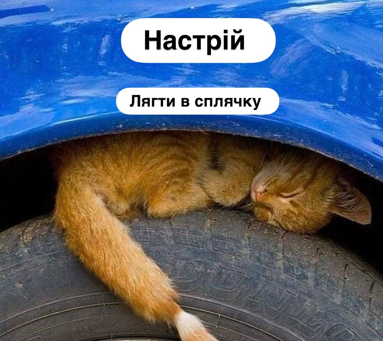Зима 2026 меми - фото 822638