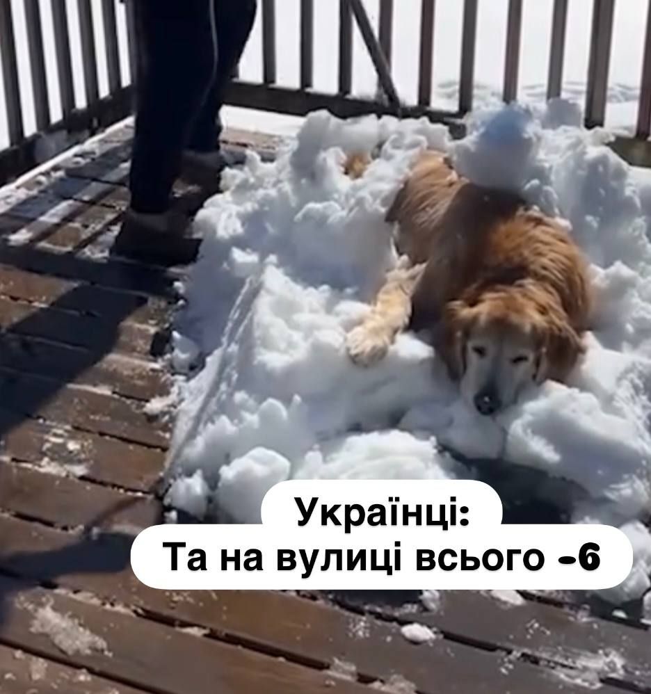 Приколи про зиму - фото 822641