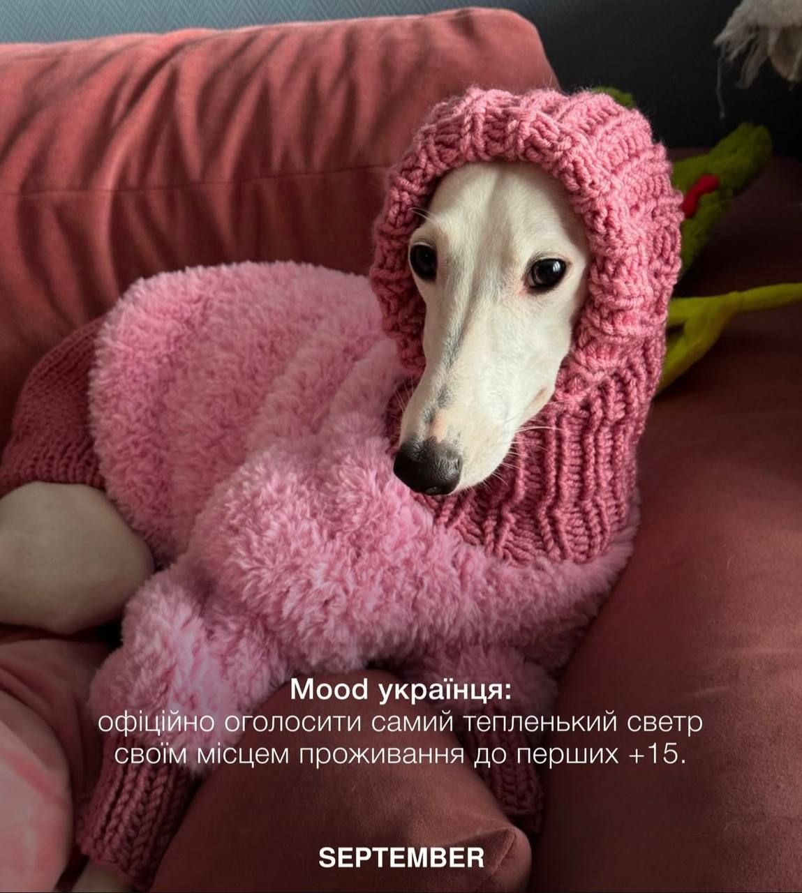 Відключення опалення та меми - фото 822645
