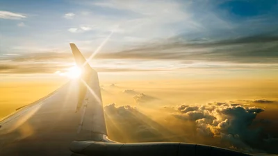 Сами не пьют и другим не советуют: почему бортпроводники не употребляют в самолете чая и кофе