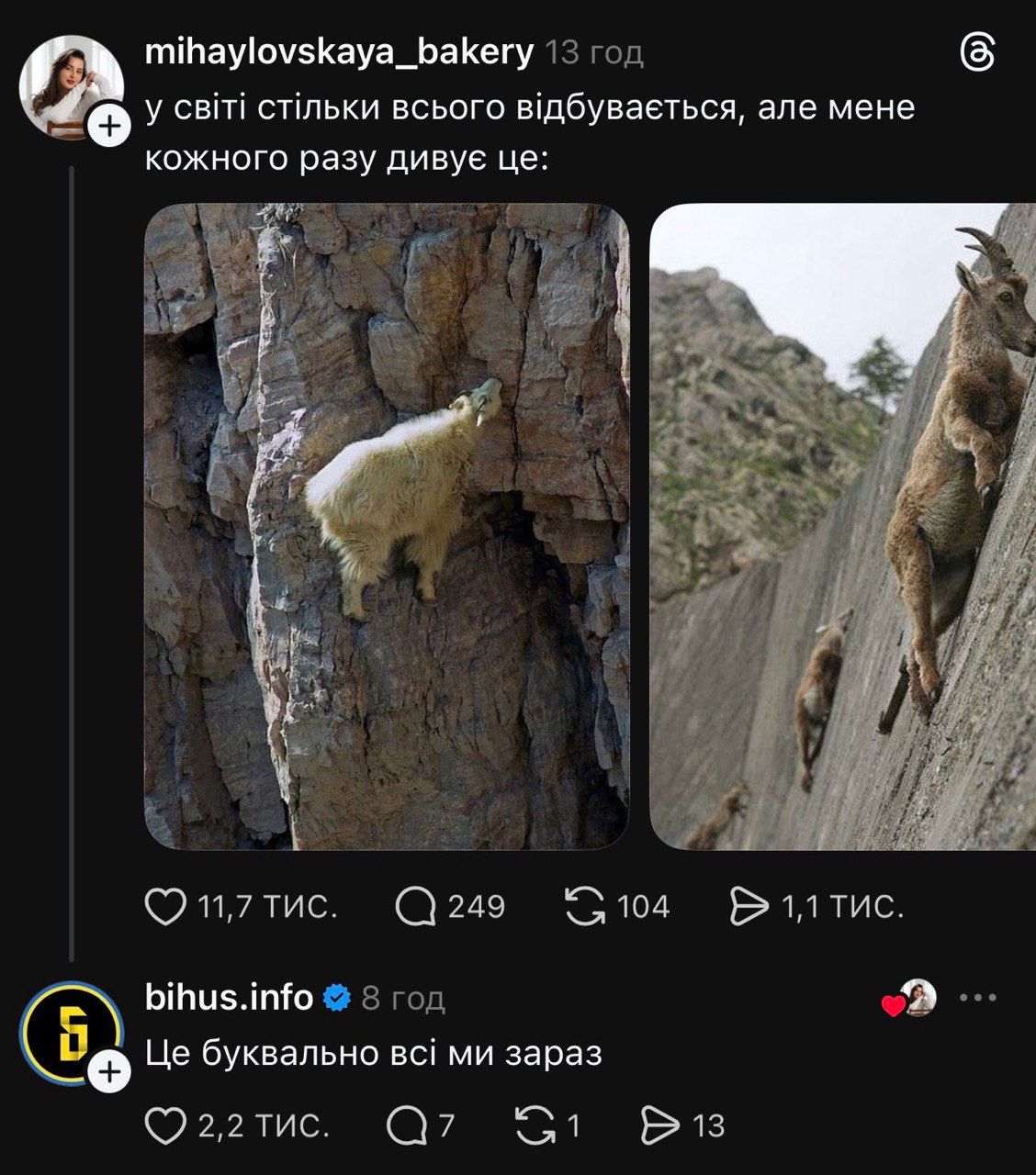 Меми по-українськи - фото 823658
