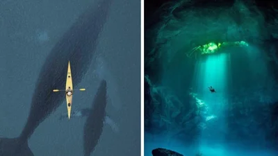 18 страхітливих підводних фотографій, які викликають паніку