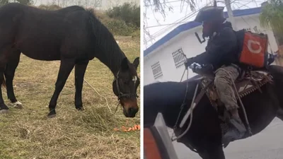 Кур’єр на коні здивував замовників - доставка їжі ще ніколи не була такою незвичною