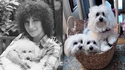 Культова голлівудська зірка замислилась про клонування: вона вже робила це з собаками