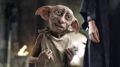 Этот пес выглядит как Добби из "Гарри Поттера", и теперь он интернет-звезда