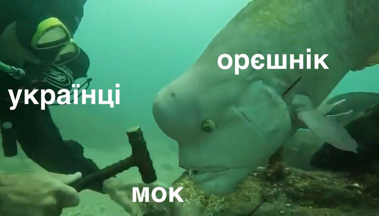 Мемы о МОК, который дисквалифицировал скелетониста Гераскевича за шлем - 829453 Мемы о МОК, который дисквалифицировал скелетониста Гераскевича за шлем - фото 829453