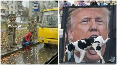 Не знаешь плакать или смеяться: 12 дико-забавных фото из реальной жизни