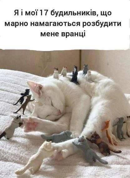 Мемы про сон, которого нам так не хватает - 830773 Мемы про сон, которого нам так не хватает - фото 830773