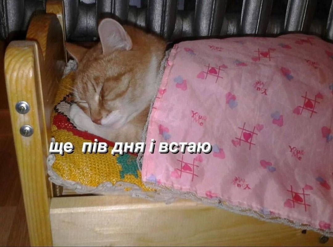 Мемы про сон, которого нам так не хватает - 830775 Мемы про сон, которого нам так не хватает - фото 830775