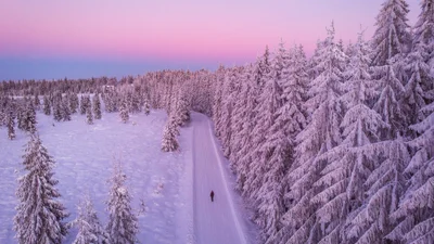 Останній день зими в твоїй стрічці: естетичні картинки, щоб красиво сказати "бувай" цьому сезону