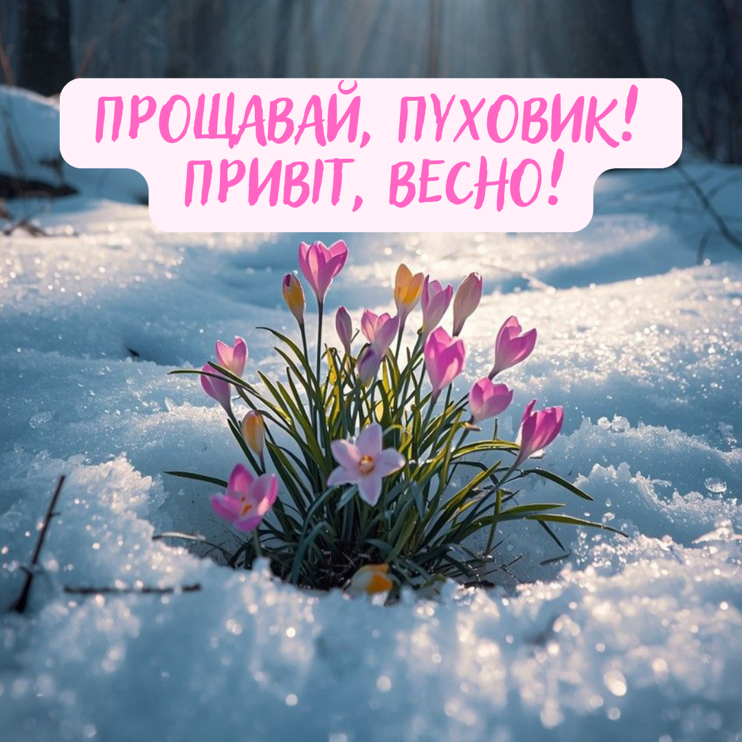 Последний день зимы в твоей ленте: эстетические картинки, чтобы красиво сказать 'пока' этому сезону - 832534 Последний день зимы в твоей ленте: эстетические картинки, чтобы красиво сказать 'пока' этому сезону - фото 832534