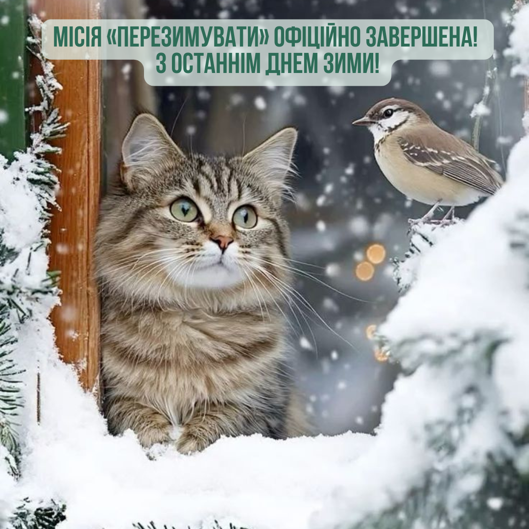 Последний день зимы в твоей ленте: эстетические картинки, чтобы красиво сказать 'пока' этому сезону - 832536 Последний день зимы в твоей ленте: эстетические картинки, чтобы красиво сказать 'пока' этому сезону - фото 832536
