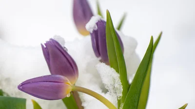 Дякуємо за вайб: найкращі підписи та картинки для твого Instagram у останній день зими