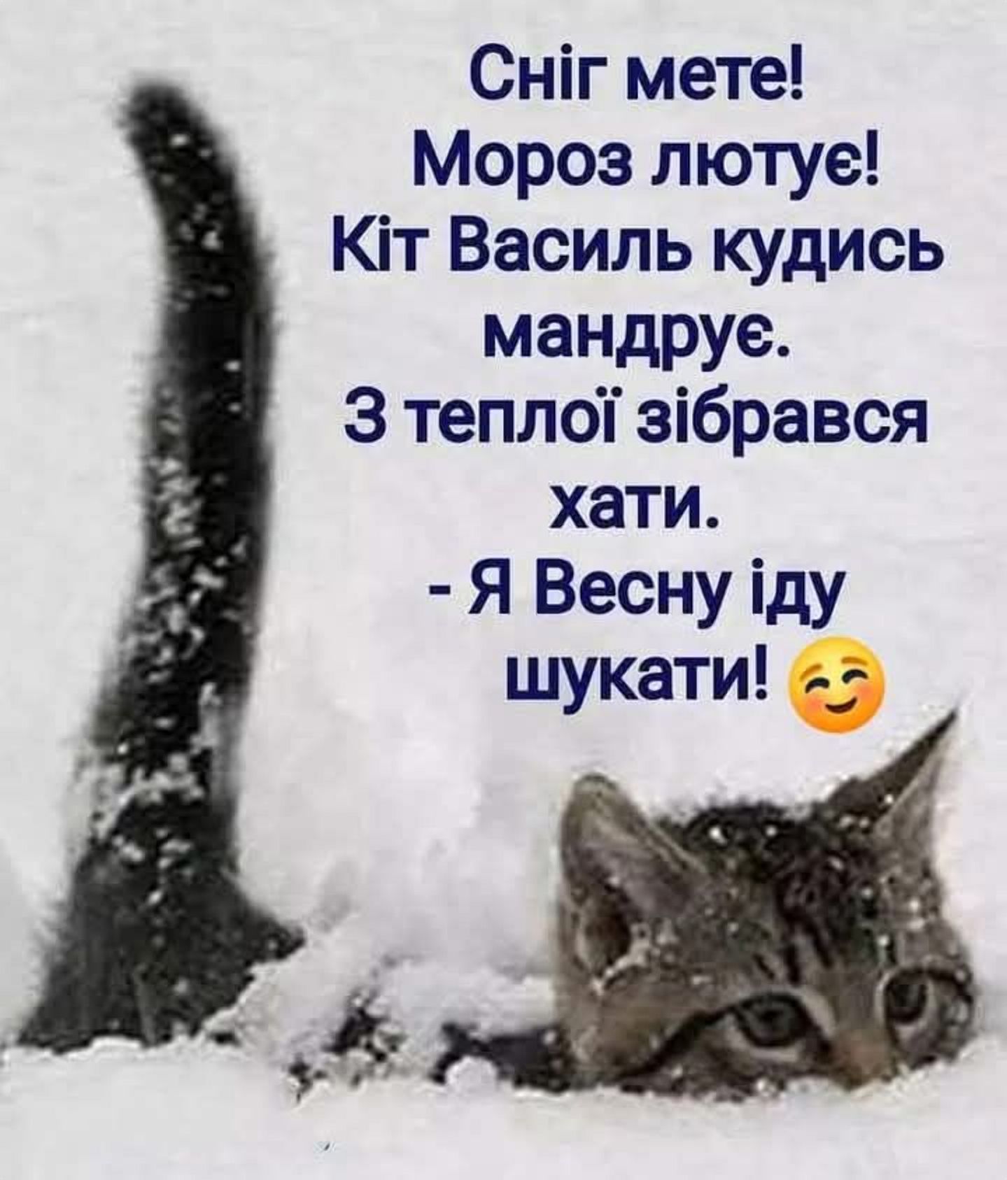 Эра выживания: мемы о последнем дне зимы, которые поймет каждый - 833042 Эра выживания: мемы о последнем дне зимы, которые поймет каждый - фото 833042
