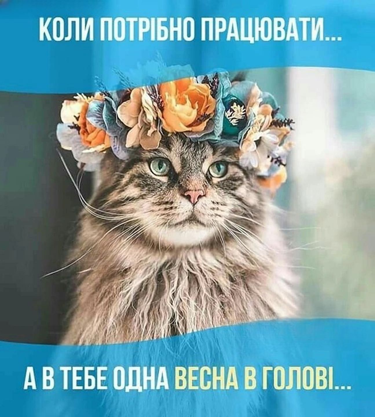 Эра выживания: мемы о последнем дне зимы, которые поймет каждый - 833044 Эра выживания: мемы о последнем дне зимы, которые поймет каждый - фото 833044