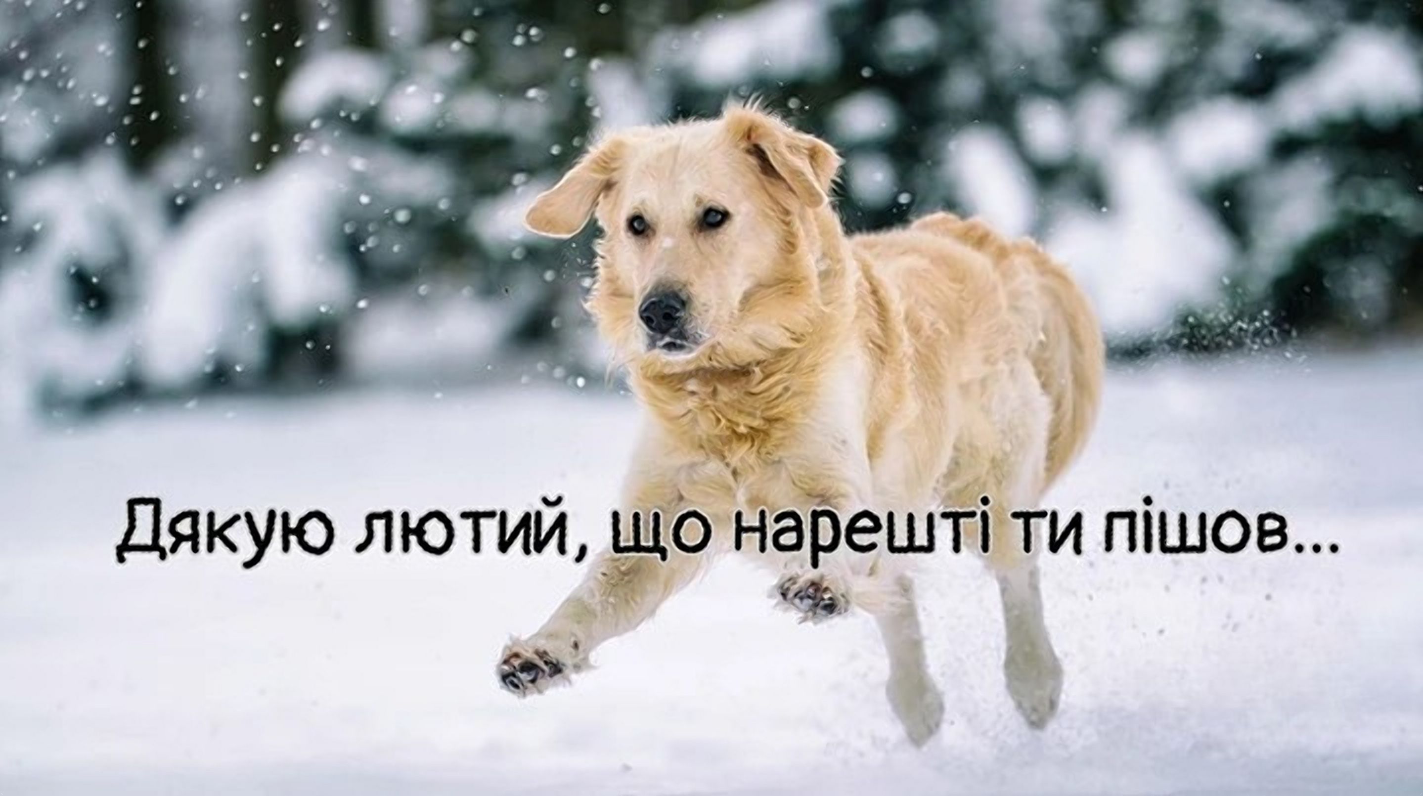Эра выживания: мемы о последнем дне зимы, которые поймет каждый - 833045 Эра выживания: мемы о последнем дне зимы, которые поймет каждый - фото 833045