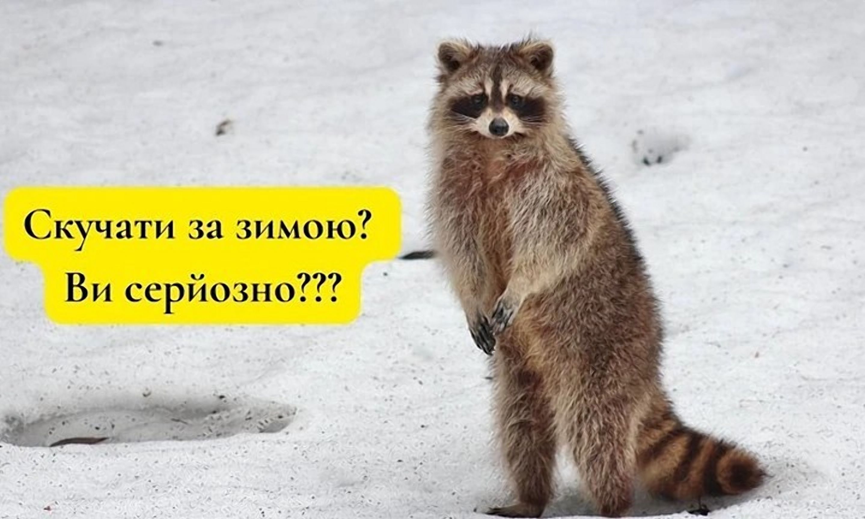 Эра выживания: мемы о последнем дне зимы, которые поймет каждый - 833046 Эра выживания: мемы о последнем дне зимы, которые поймет каждый - фото 833046