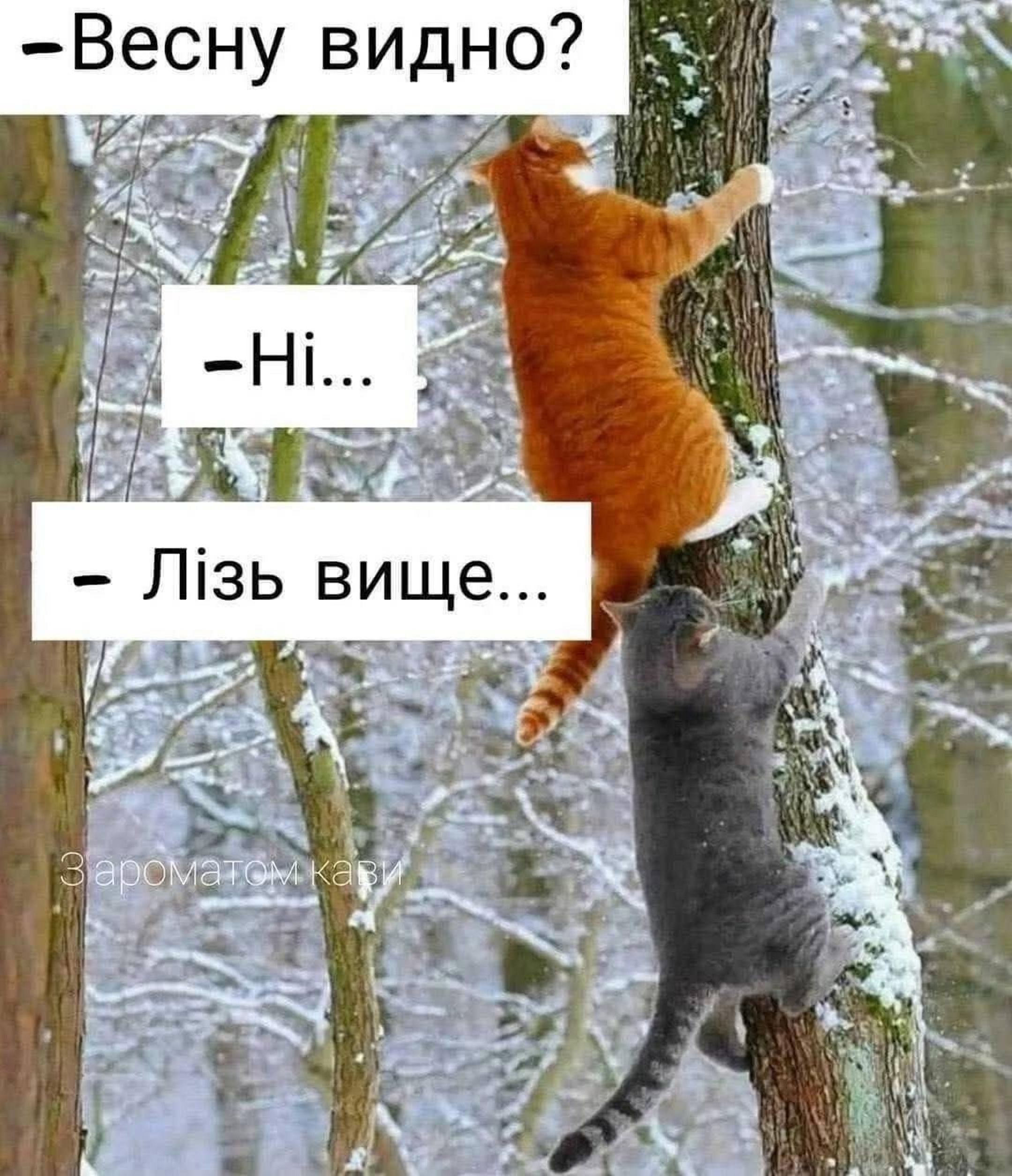 Эра выживания: мемы о последнем дне зимы, которые поймет каждый - 833050 Эра выживания: мемы о последнем дне зимы, которые поймет каждый - фото 833050