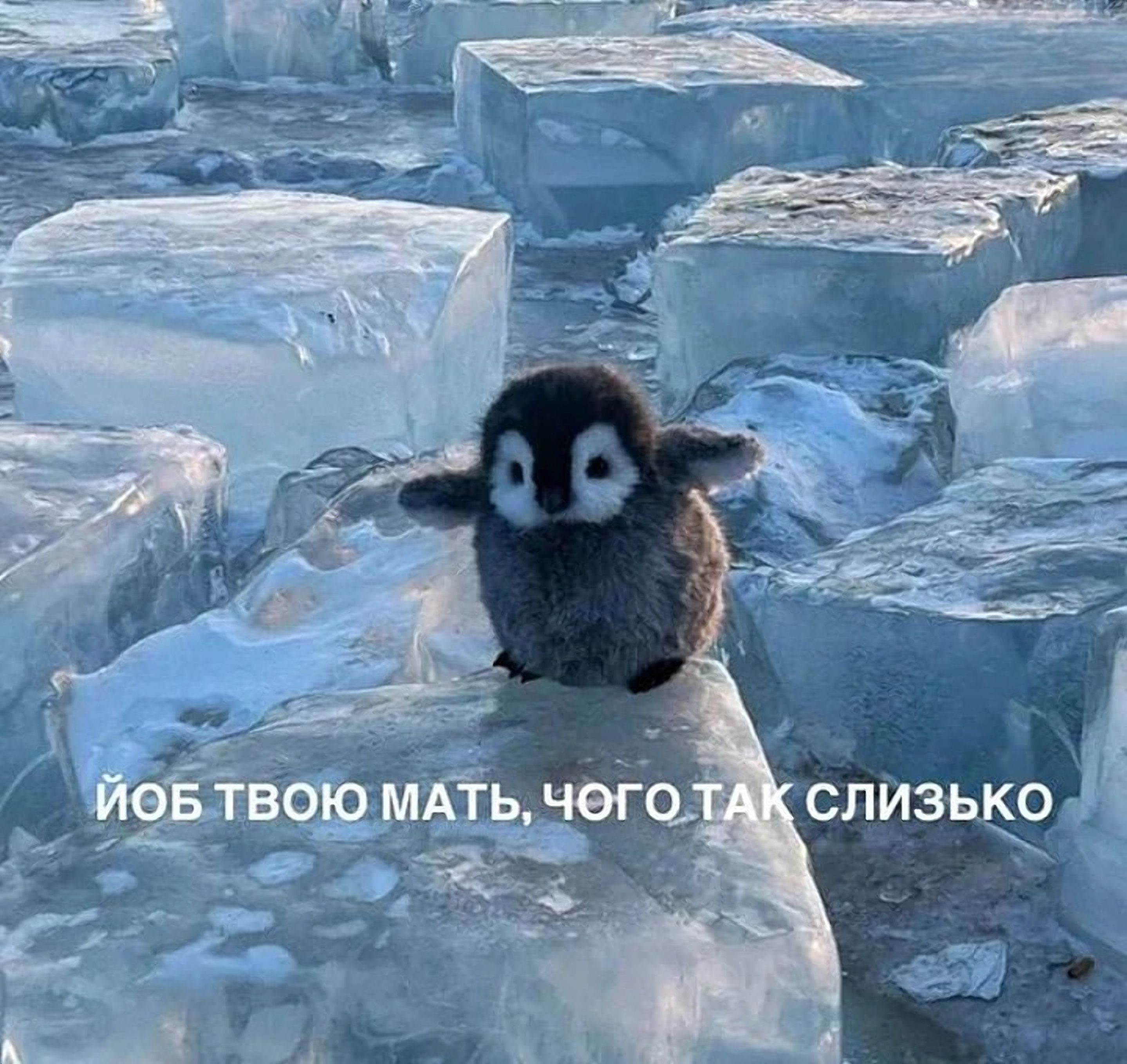 Эра выживания: мемы о последнем дне зимы, которые поймет каждый - 833052 Эра выживания: мемы о последнем дне зимы, которые поймет каждый - фото 833052