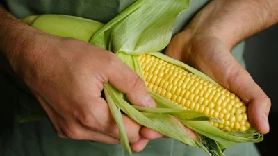 "Темный рыцарь", "Джанго свободный", "Крепкий орешек": мужчины называют пенисы с помощью фильмов и сериалов