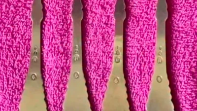 Вилки или розовая масса: в сети идут споры о новой оптической иллюзии