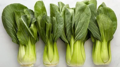 Капуста пак чой: чому всі від неї фанатіють у ТікТок і як приготувати за 10 хвилин