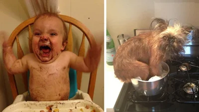 18 випадкових фотографій, які смішать абсолютно без причини