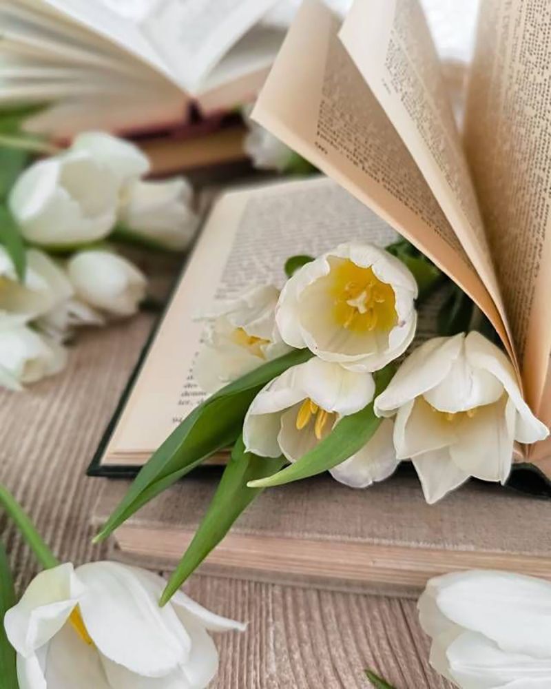 ТОП книг с весенним вайбом, которые перезагрузят тебя уже в марте - фото 835296