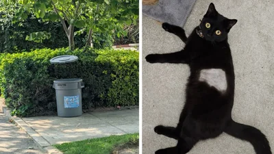 Прикольні випадкові фото, які обманюють твої очі настільки, що варто подивитись на них двічі